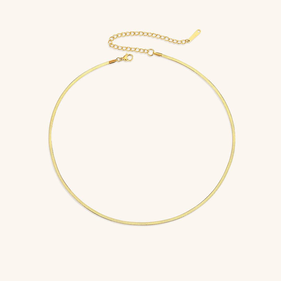 Elegant Gold Herringbone Necklace for Women – Hypoallergenic Stainless Steel-Plated Jewelry, 14k Gold, 14-Inch with Extension 0