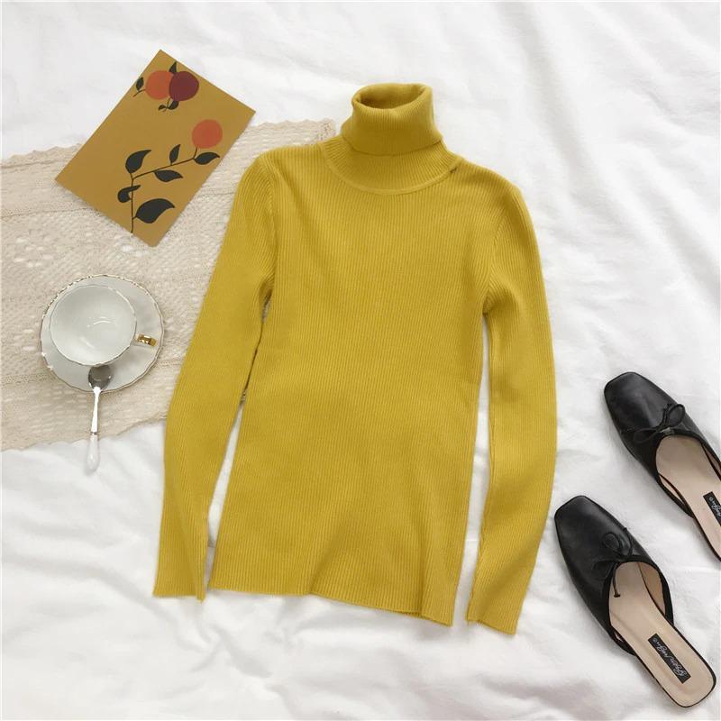 Slim Turtle Neck Pullover Sweater 12