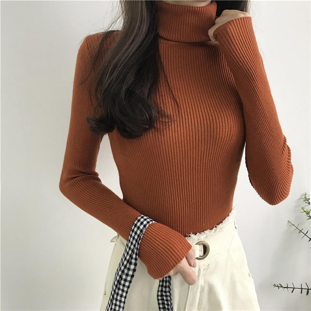 Thick and Soft Turtle Neck Long Sleeve Sweater 15