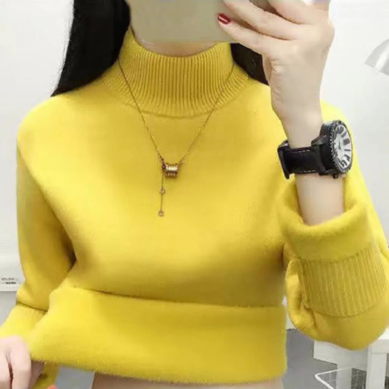Thick and Warm Winter Pullover Turtleneck Sweater 1
