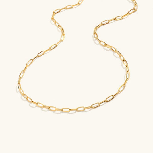 Amber Gold Chain Necklace for Women – Hypoallergenic Stainless Steel-Plated 14k Gold, 16-19 Inches 0