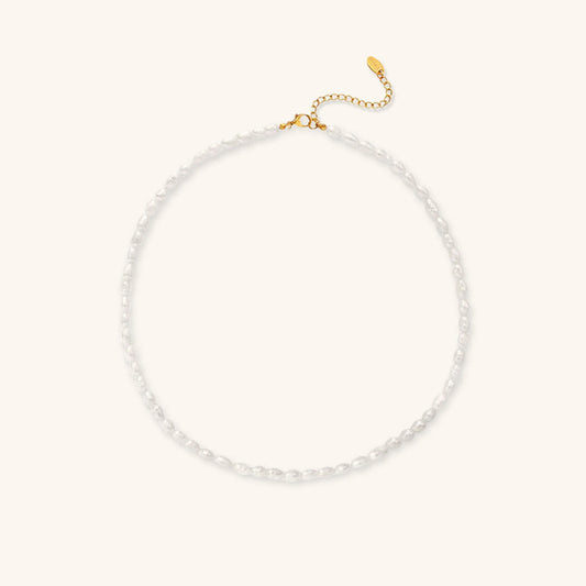 Freshwater Pearl Choker Necklace with Waterproof Gold Chain – Elegant Accessory for Any Occasion 0