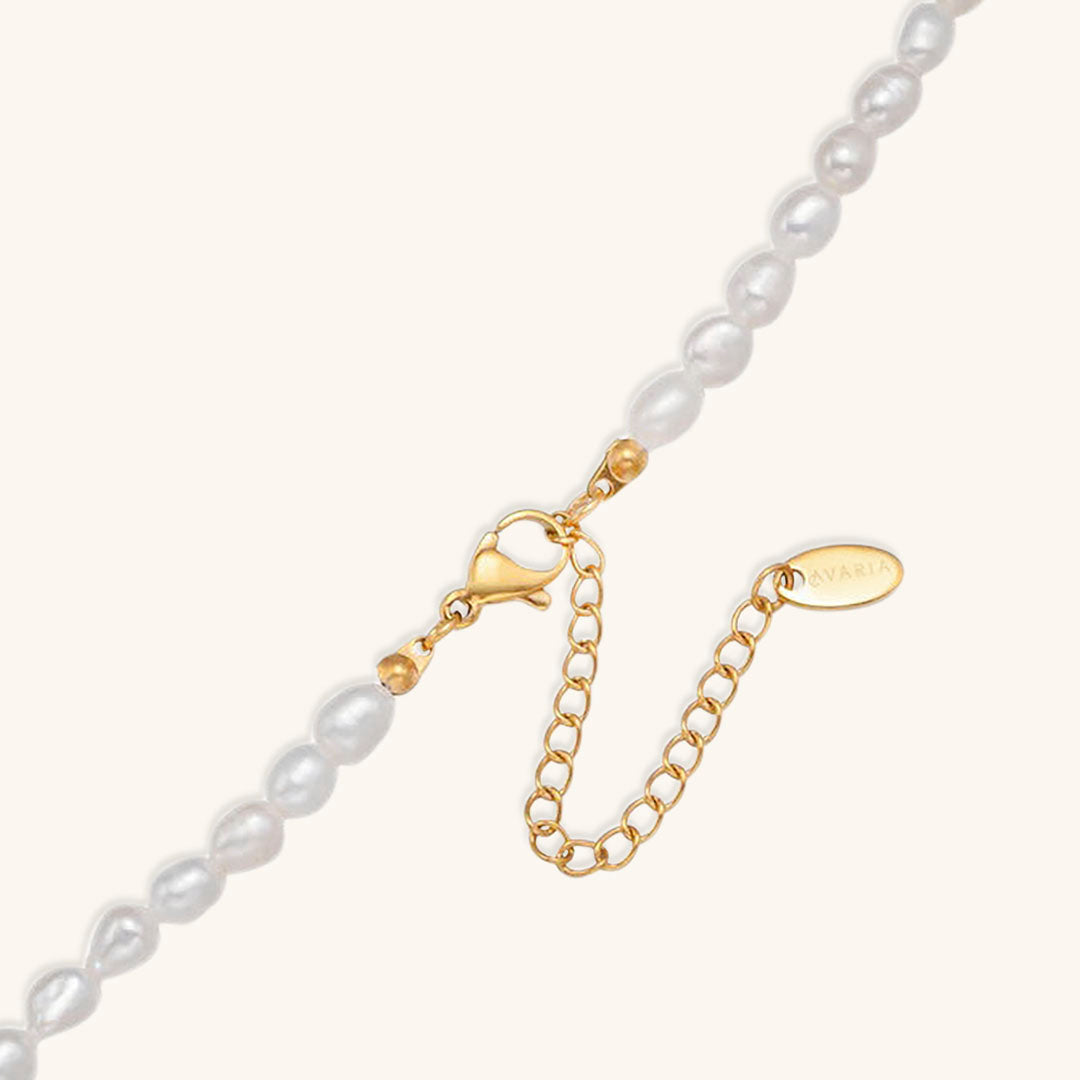 Freshwater Pearl Choker Necklace with Waterproof Gold Chain – Elegant Accessory for Any Occasion 5
