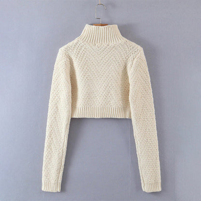 Knitted Turtleneck Long Sleeve Pullover Crop Top Sweaters 4