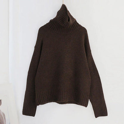 Oversize Winter Knitted Turtleneck Sweater 15
