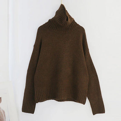 Oversize Winter Knitted Turtleneck Sweater 17