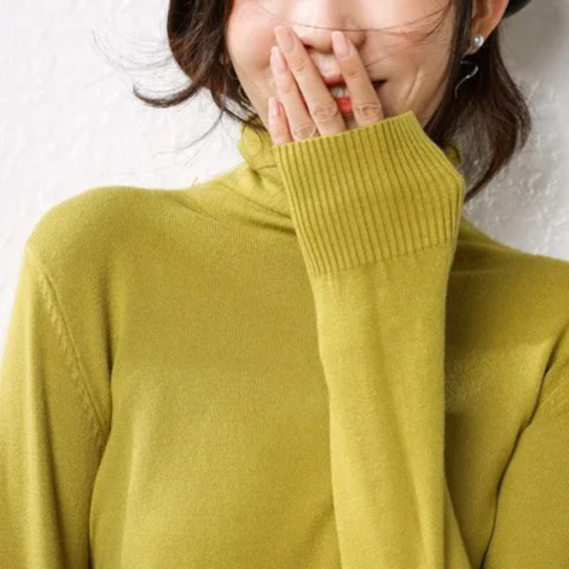 Slim Fit Basic Turtleneck Pullover Sweater 6