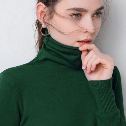 Slim Fit Basic Turtleneck Pullover Sweater 8