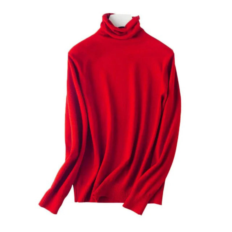 Slim Fit Basic Turtleneck Pullover Sweater 9