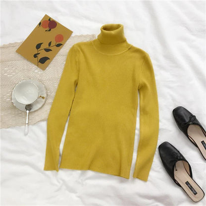 Slim Turtle Neck Pullover Sweater 12