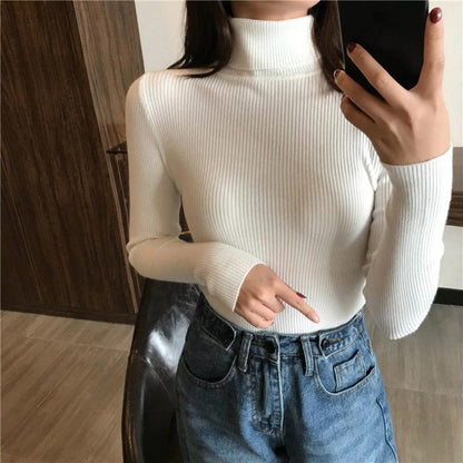 Slim Turtle Neck Pullover Sweater 13
