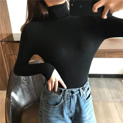Slim Turtle Neck Pullover Sweater 4