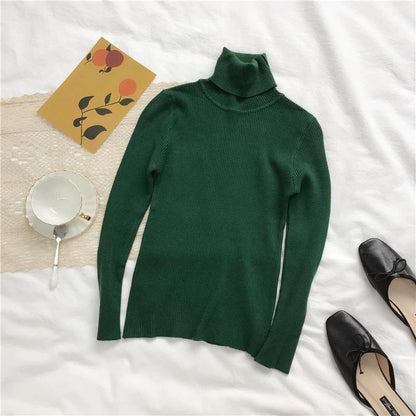 Slim Turtle Neck Pullover Sweater 8