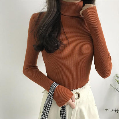 Thick and Soft Turtle Neck Long Sleeve Sweater 15