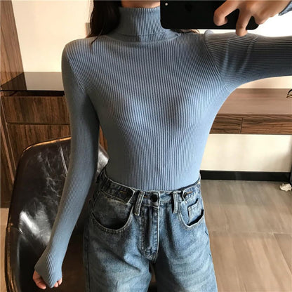 Thick and Soft Turtle Neck Long Sleeve Sweater 19