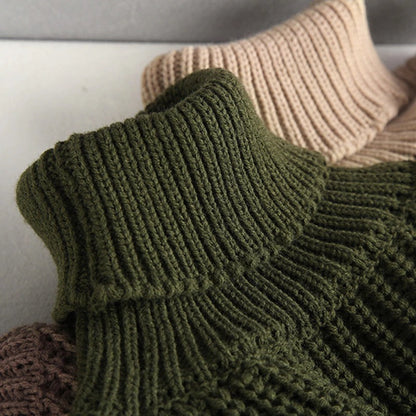Warm and Chic Turtle Neck Knitted Pullover Sweaters 1