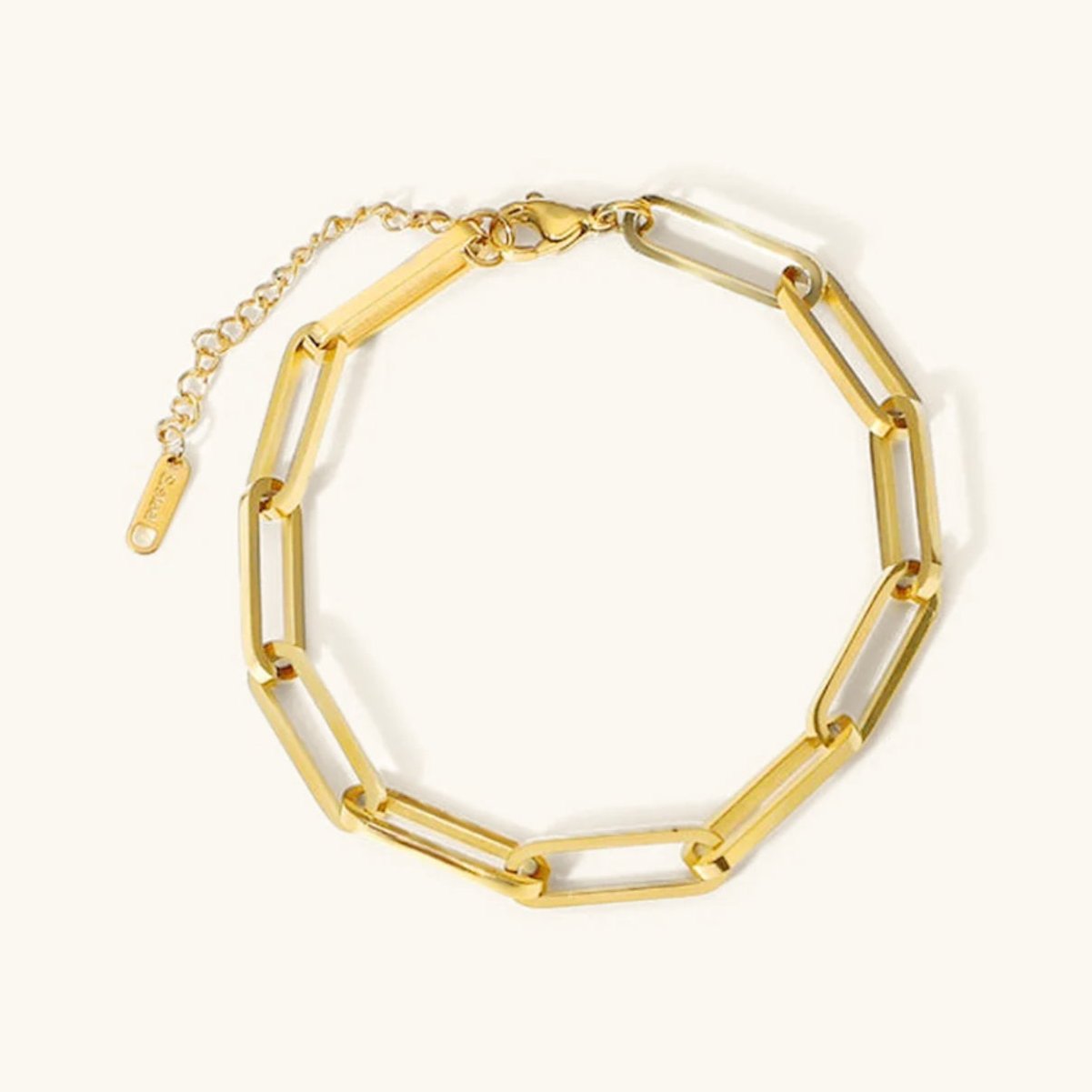 Women's Bracelet Gold Stainless Steel Paperclip Chain 0