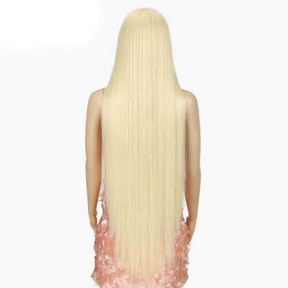 Women's Extra Long Straight Wig Black Heat-Resistant Fiber 16