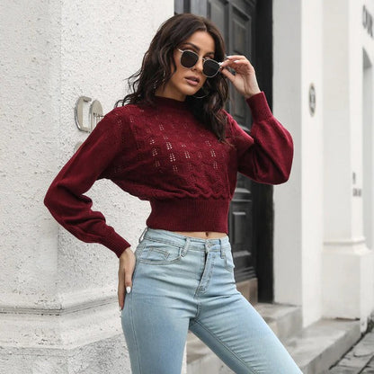 Cropped Womens Knitted Sweater with Crochet Detail - Long Sleeve Crew Neck 4